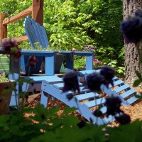 Photo Thumbnail #1: painted chairs from black to blue