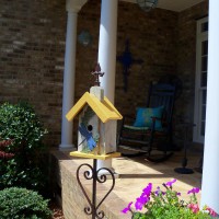 Photo Thumbnail #7: new bird feeder