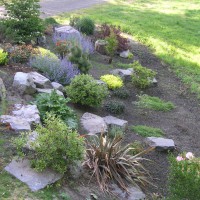 Photo Thumbnail #12: Close up view of landscape in front of house