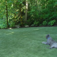 Photo Thumbnail #20: Center of artificial turf in backyard