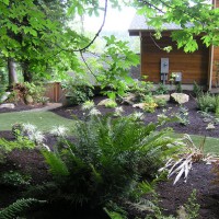 Photo Thumbnail #2: Backyard right side after artificial turf...