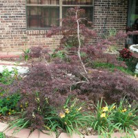 Photo Thumbnail #10: View facing west end of patio 