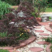 Photo Thumbnail #7: Walkway and bed as viewed from backyard