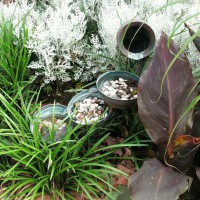 Photo Thumbnail #6: Aged copper fountain among Cannas, Dusty...