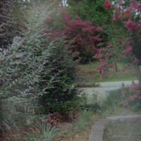 Photo Thumbnail #12: View from east sideyard gate facing toward...