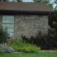 Photo Thumbnail #16: Patio bed at east side of house