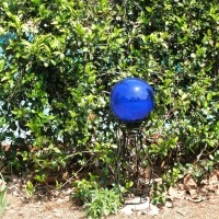 Photo Thumbnail #1: Blue gazing ball flanked by Asiatic Star...