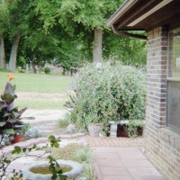 Photo Thumbnail #14: View as seen from under patio facing west end...