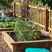 Photo Thumbnail #24: Raised beds