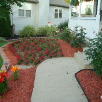 Photo Thumbnail #5: 320 flowers they will fill in