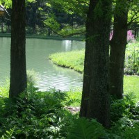 Photo Thumbnail #3: Shade garden  in front yard