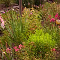 Photo Thumbnail #12: Ditch garden at bridge crossing to vegetable...