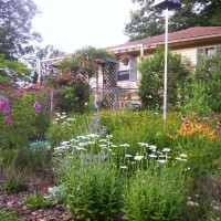 Photo Thumbnail #8: Septic tank,garden on a slope.