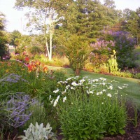 Photo Thumbnail #9: Septic garden is the entrance to back yard.