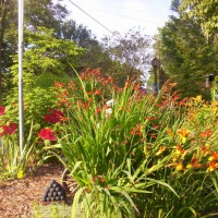 Photo Thumbnail #5: Civil war remembrance garden.