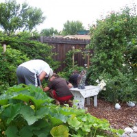 Photo Thumbnail #5: Picking berries