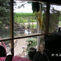 Photo Thumbnail #1: Inside view from the screened porch area...... 