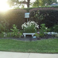 Photo Thumbnail #11: Center of my largest flower garden in backyard.