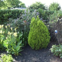 Photo Thumbnail #4: part of the large back garden.