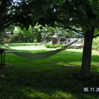 Photo Thumbnail #5: Choose your hammock and rest your eyes for abit. 
