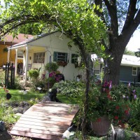 Photo Thumbnail #1: MY Wee Yellow Cottage