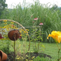 Photo Thumbnail #8