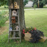 Photo Thumbnail #2: These big rocks were from my dad's old...