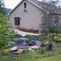 Photo Thumbnail #13: Before shot of backyard pond and patio.