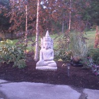 Photo Thumbnail #18: Buddha surrounded by hosta and astilbe.