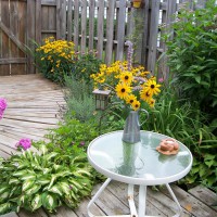 Photo Thumbnail #20: Side entrance filling in nicely with perennials.