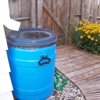 Photo Thumbnail #25: My husband made rain barrels and placed them...