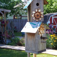 Photo Thumbnail #10: Wrens like the condos.