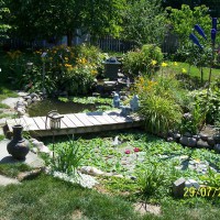 Photo Thumbnail #2: Larger pond in back yard