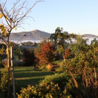 Photo Thumbnail #5: Looking through the yard at the clouds below.