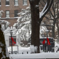Photo Thumbnail #2: First snow 2011