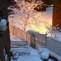 Photo Thumbnail #6: Snow, snow, snow...