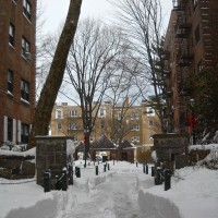 Photo Thumbnail #4: More snow!