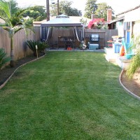 Photo Thumbnail #2: This was my backyard in summer of 2010 before I...