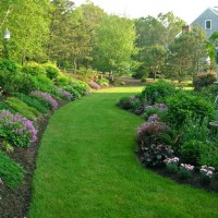 Photo Thumbnail #1: A view of the patio garden and the hill garden...