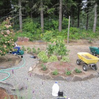 Photo Thumbnail #16: August 9, 2010.  Another planting day in the...