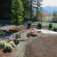 Photo Thumbnail #13: I\'m winding down with my landscaping...