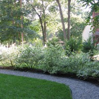 Photo Thumbnail #2: Woodland path, lined with red twig dogwoods