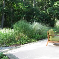 Photo Thumbnail #3: Borders of ornamental grasses along the patio