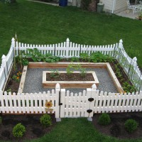 Photo Thumbnail #1: Early summer in our first-ever vegetable garden