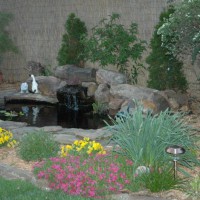 Photo Thumbnail #4: My 4 ft deep pond is small but deep due to...