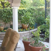 Photo Thumbnail #4: Kitchen garden- 3 citrus in pots and tomatoes...