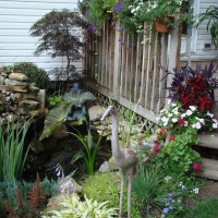 Photo Thumbnail #6: small pond with fish and waterall feature on...