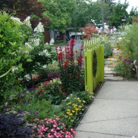 Photo Thumbnail #5: Side yard view