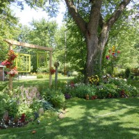 Photo Thumbnail #14: View of the side yard, early summer 2011. We...