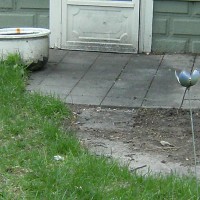 Photo Thumbnail #4: Back door with an excavated cement paved patio?...